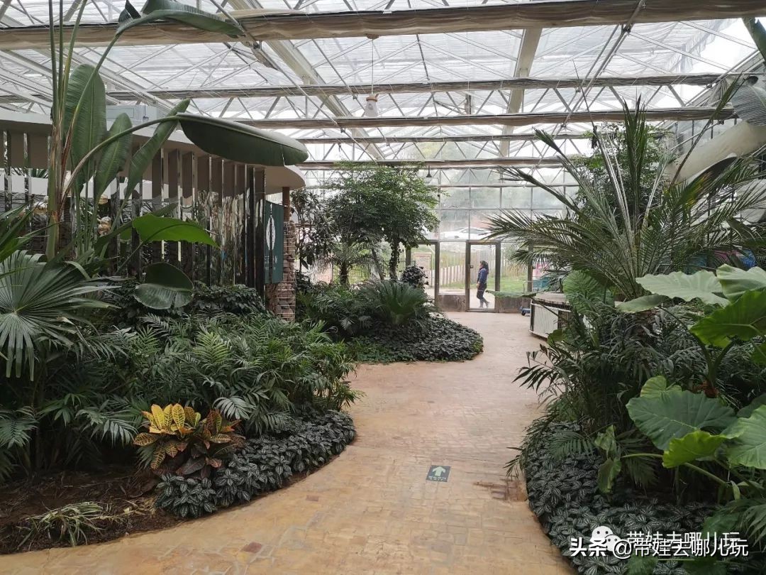 住别墅、滚草坪、躺在床上看电影，密云轻奢营地的花样玩法