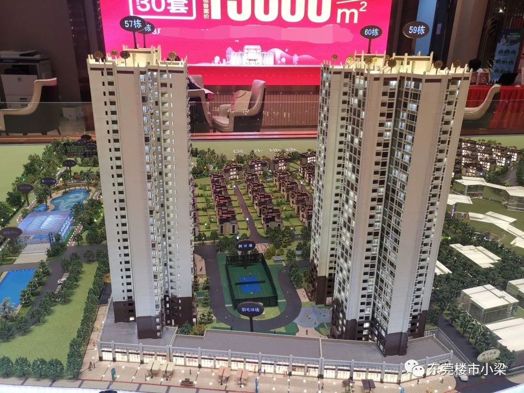 疫情后楼盘首开,东莞碧桂园玫瑰臻园户型图