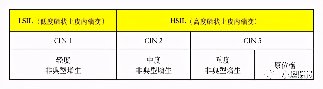 宫颈cin三级高级病变是不是原位癌,宫颈cin3累及腺体是原位癌吗