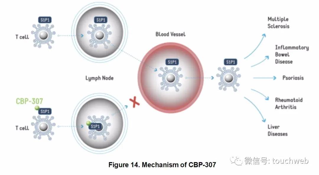 康乃德生物ipo,康乃德生物