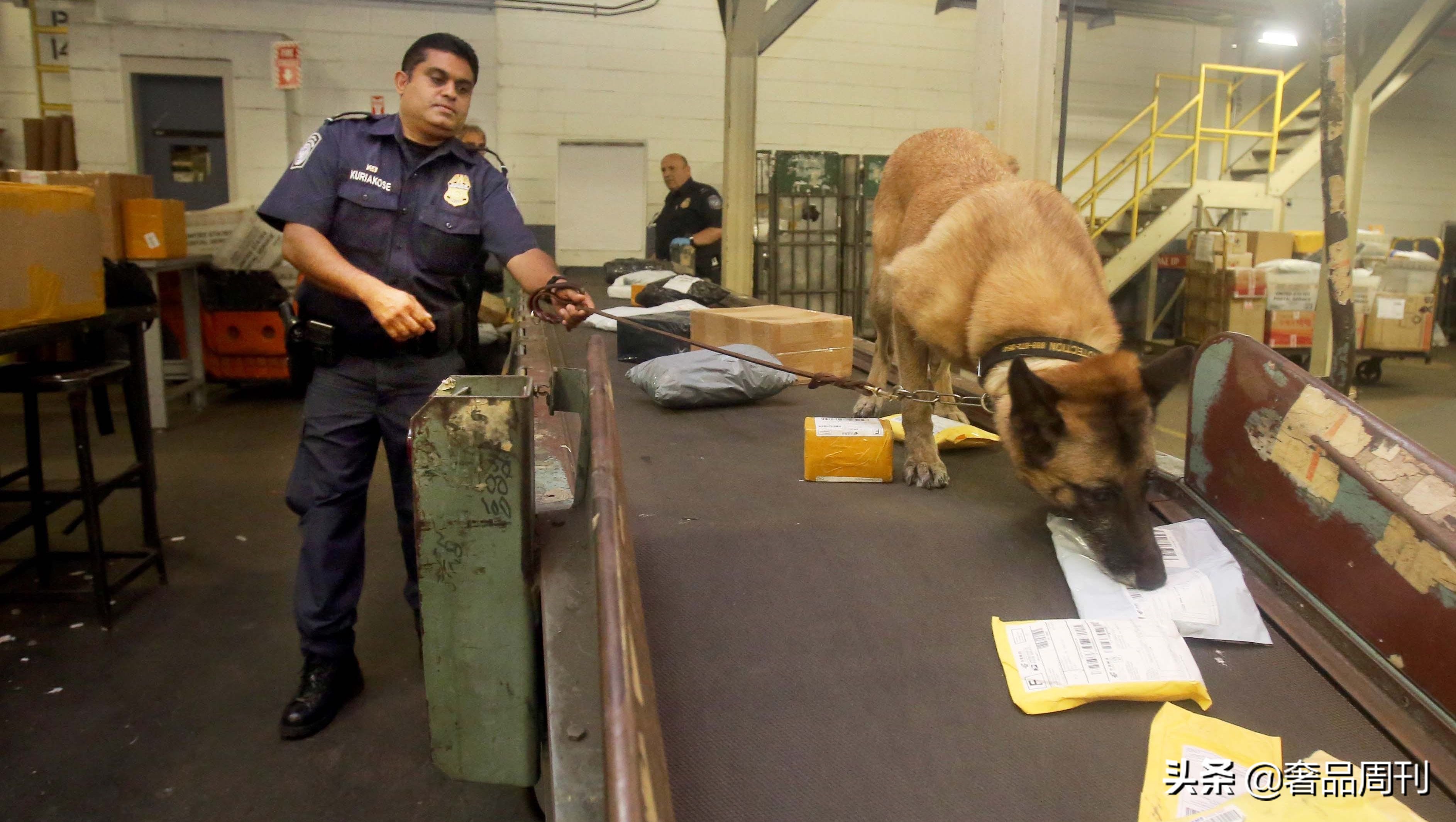 美国海运t86清关流程,t86清关跟普货清关