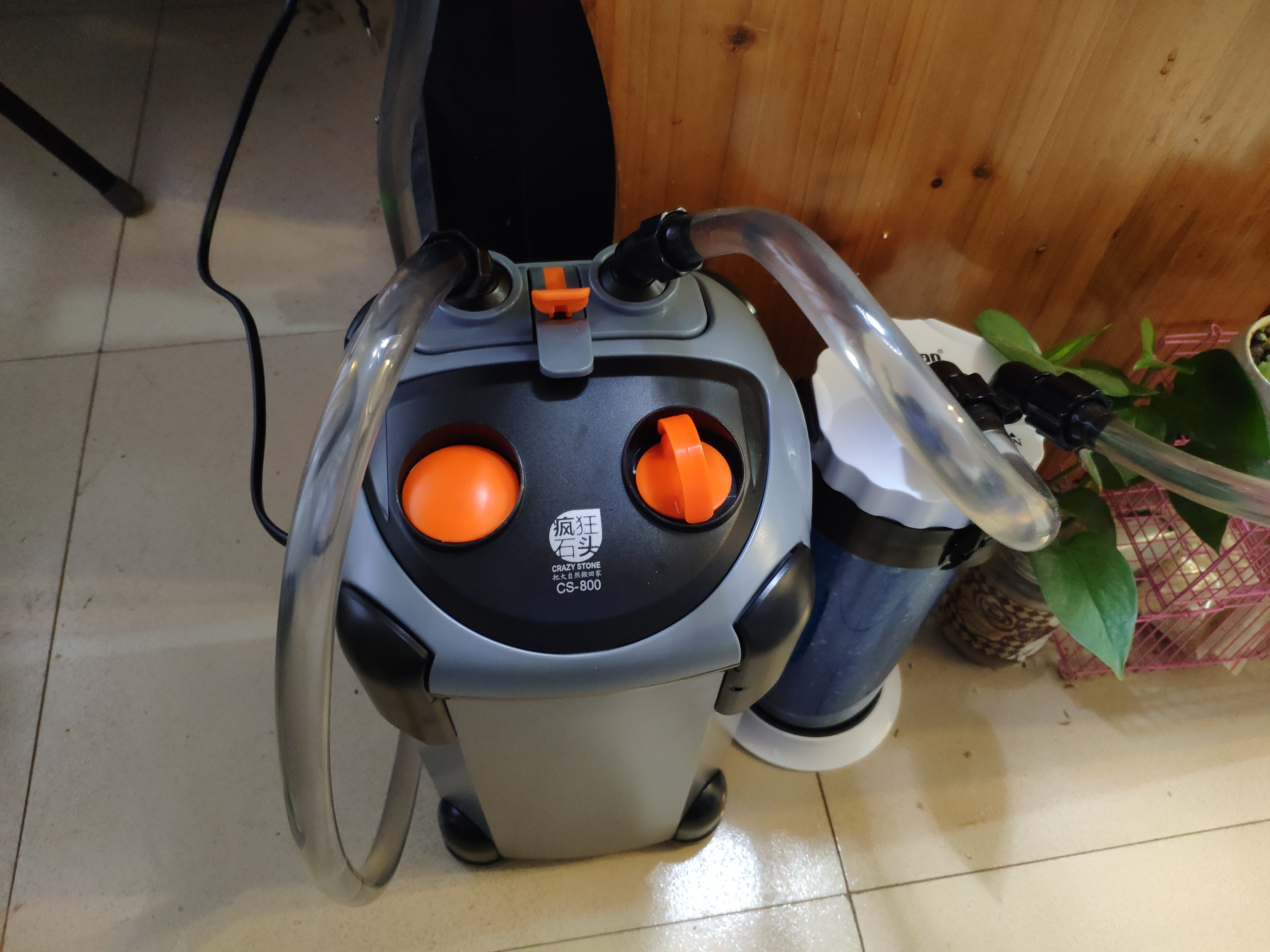 入坑草缸你准备好了吗,草缸入坑观赏鱼