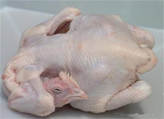 学做啤酒鸡鸭,学做啤酒鸡和啤酒鸭