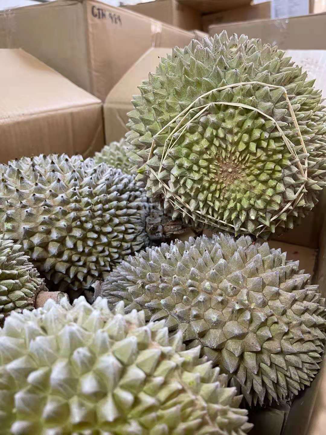 猫山王榴莲的五角星,猫山王五角星榴莲