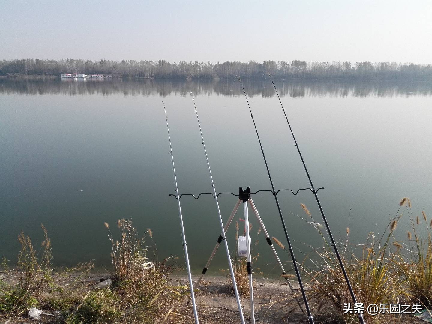 冬季岸筏作钓鲫鱼，掌握这些技巧与细节处理，事半功倍