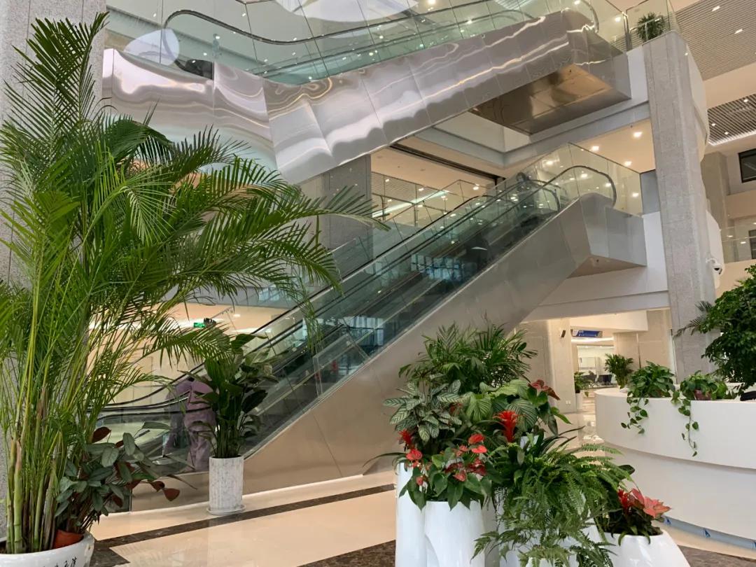 百年老院发新芽！市属医院北扩填空白，郑州市三院北院区开诊