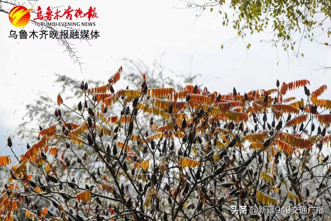 7月新疆行程攻略,出疆旅游机票攻略