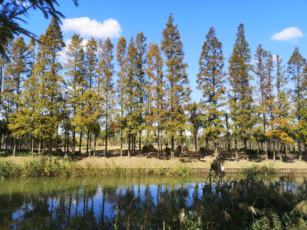 浦东唐镇位置好不好,上海浦东唐镇有什么发展