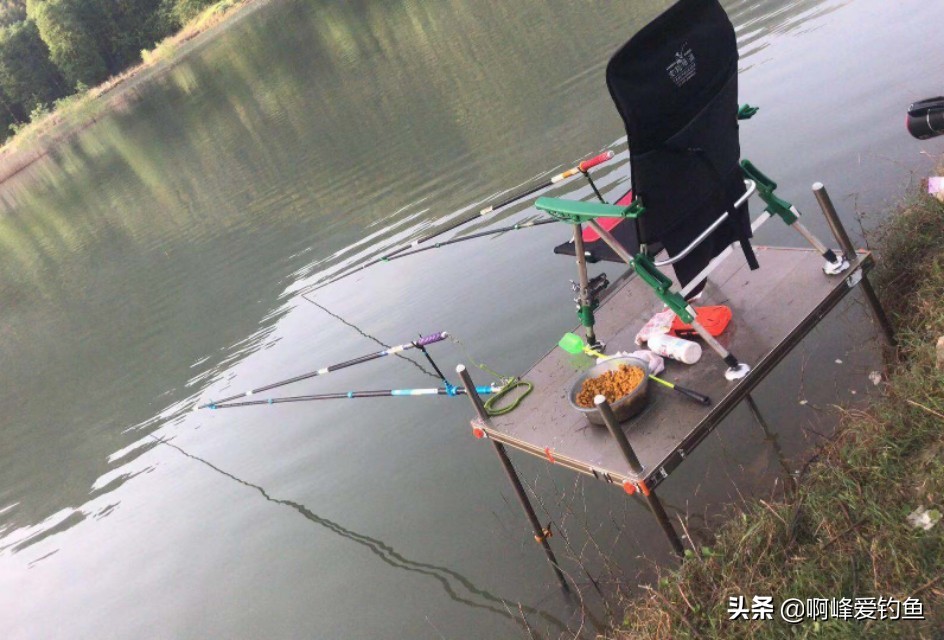 钓鱼初学入门基础知识,新手学习钓鱼入门基本知识