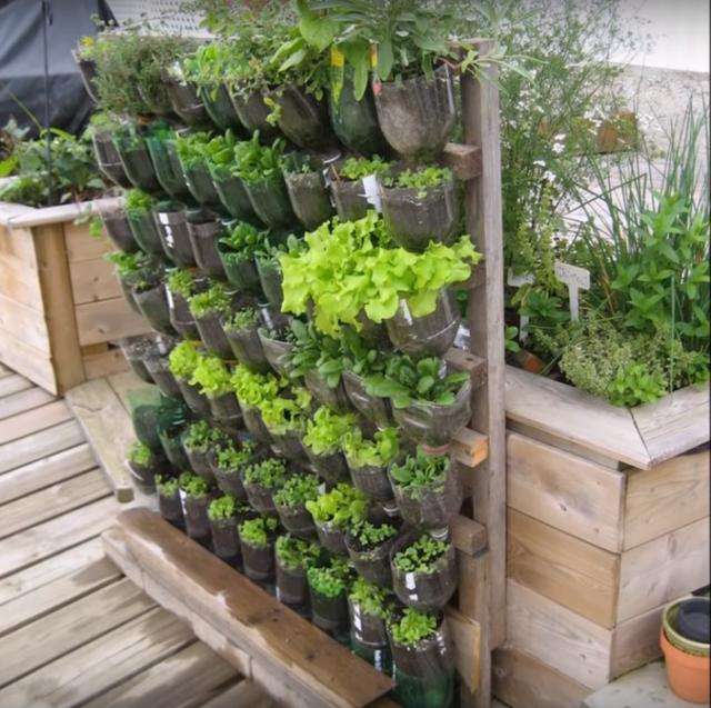 自制养花滴水瓶教程图片,手工自制花瓶养花教程图片