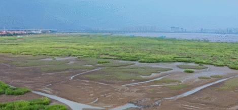 青岛国家海洋公园免费,海洋公园青岛最新