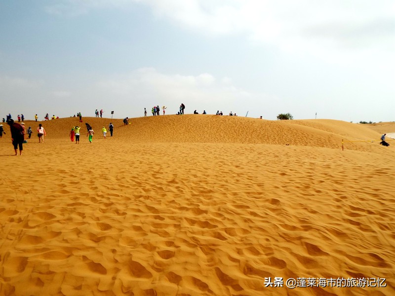 宁夏沙坡头旅游攻略,宁夏沙坡头游记
