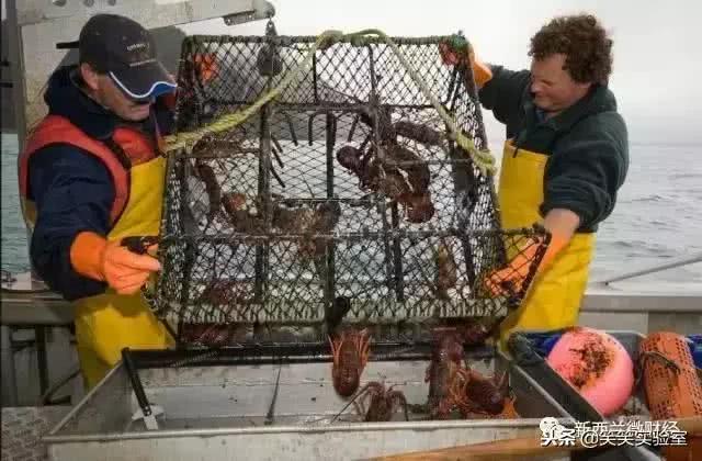 黑帮里面的钱和武器,黑帮用的东西是什么