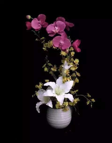 十大天价植物种子,十大顶级名贵植物