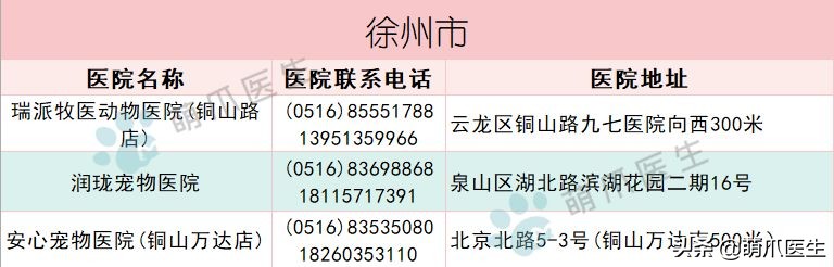 求良心靠谱的宠物医院,真正平民的宠物医院