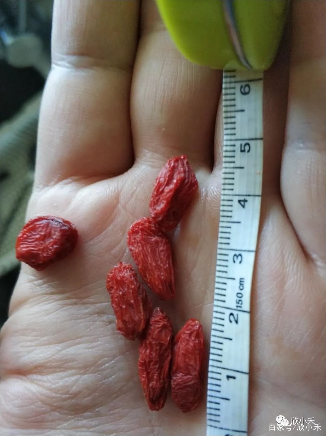 拒绝骗子的100种方法,拒绝上当受骗教你鉴别官换机