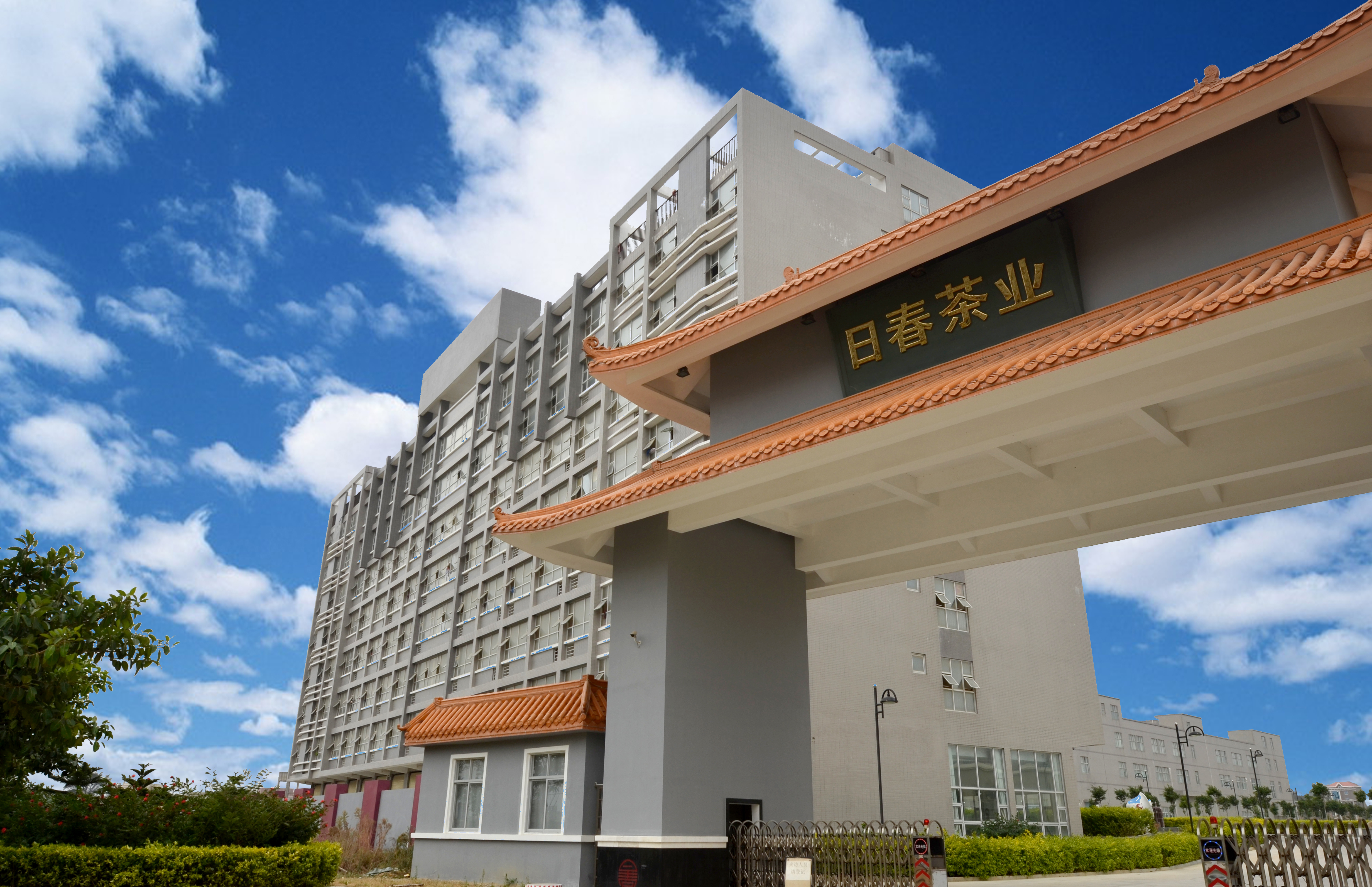 安溪铁观音茶好评第一名,安溪铁观音茶叶复购第一名