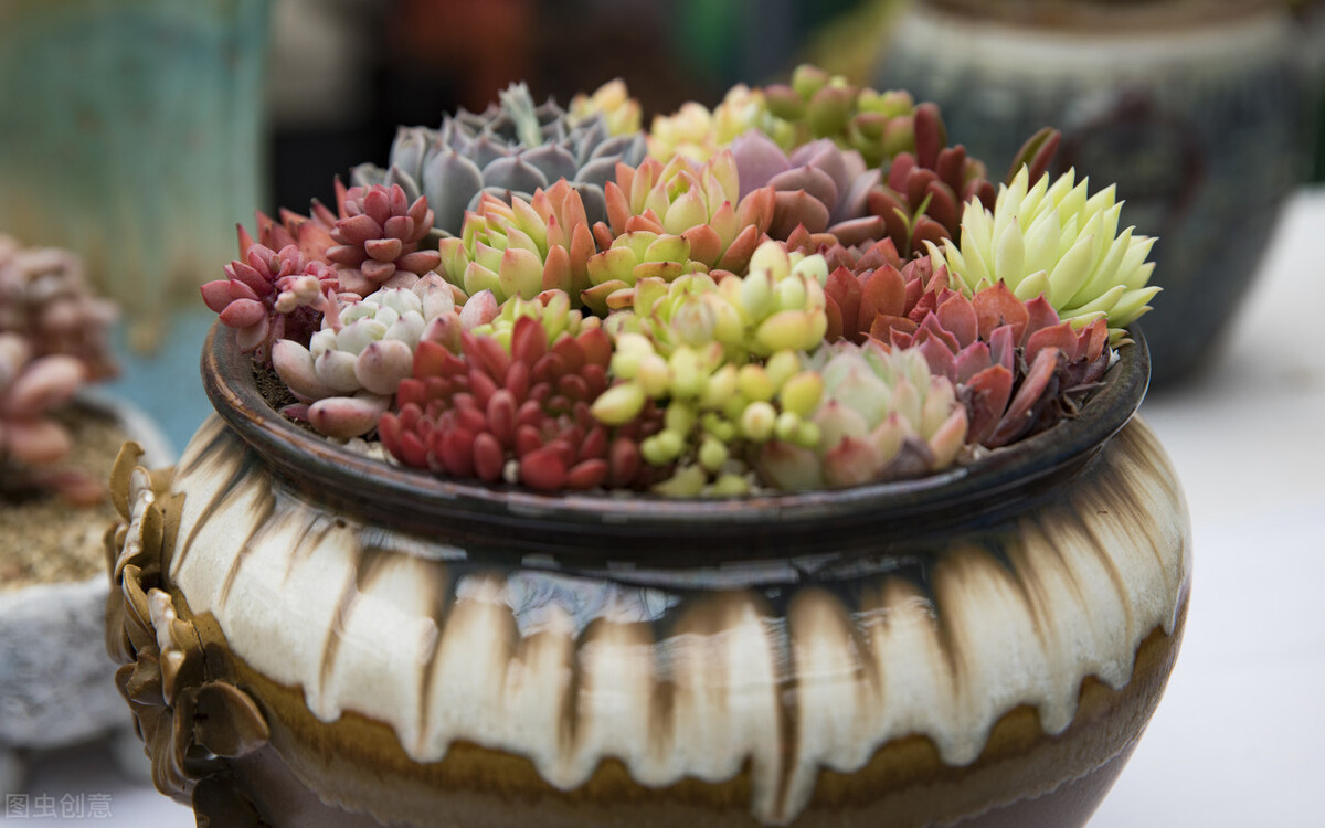 新房装修必备二十件好物推荐,装修新家的必备好物