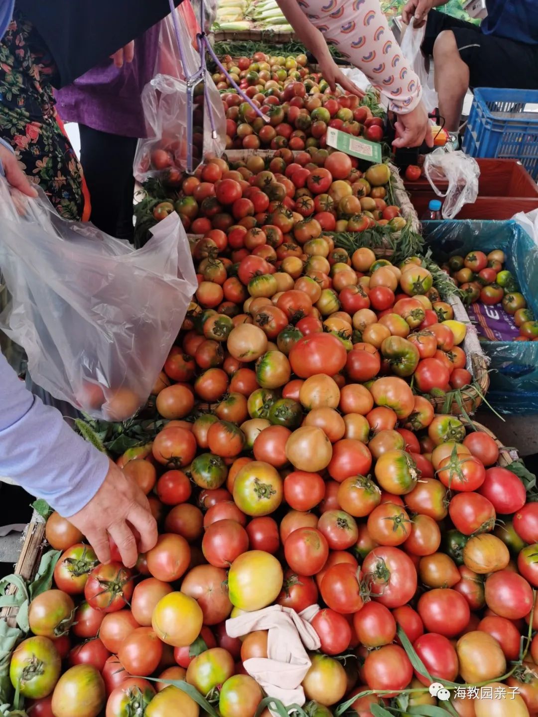 咸水沽大集现在还能赶集吗,咸水沽赶大集在哪里