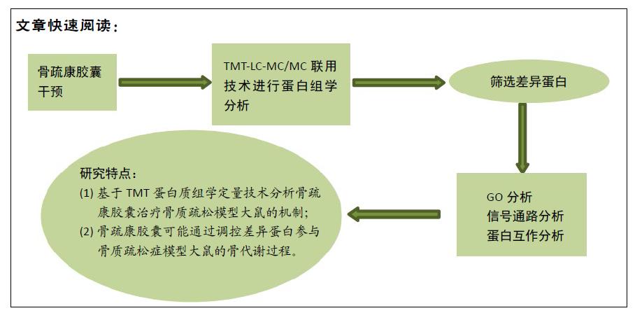 骨疏康胶囊说明,骨疏康胶囊成分作用