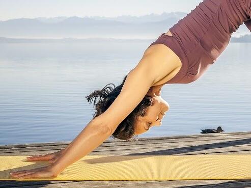 下犬式属于什么瑜伽,下犬式瑜伽调整什么