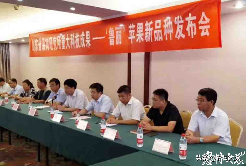 苹果新品种鲁丽,花10000买苹果最新款有必要吗