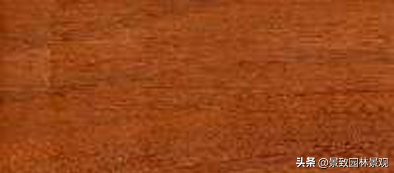 木纹最好看的木材图片,各种木材纹理图片与名称