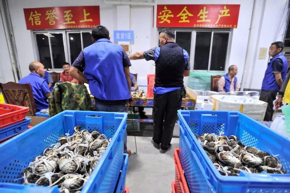 苏宁阳澄湖大闸蟹,苏宁易购官网阳澄湖大闸蟹