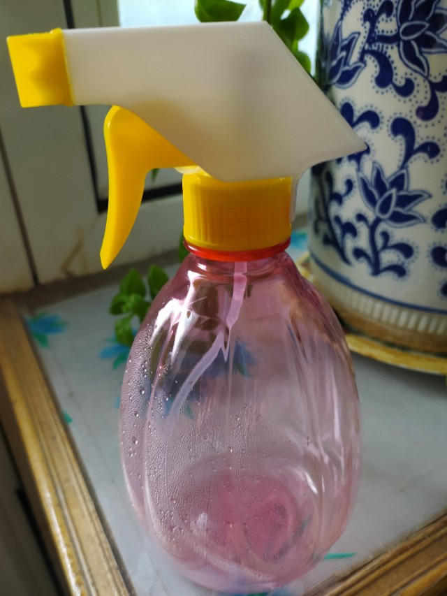 白墙日光灯引来好多飞虫怎么办,房间飞蛾蚊子虫子多怎么办