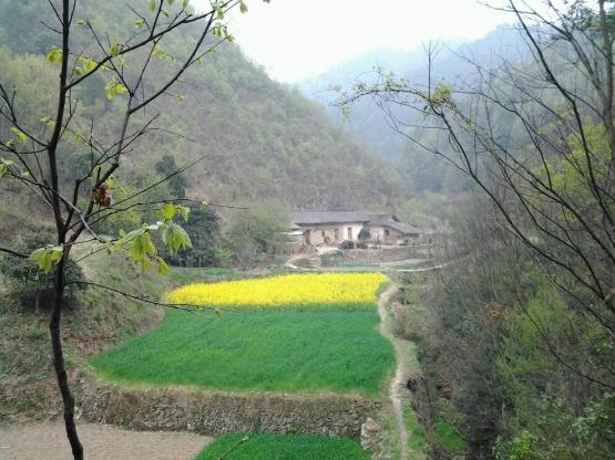 乡情散文乡恋,乡情散文乡愁