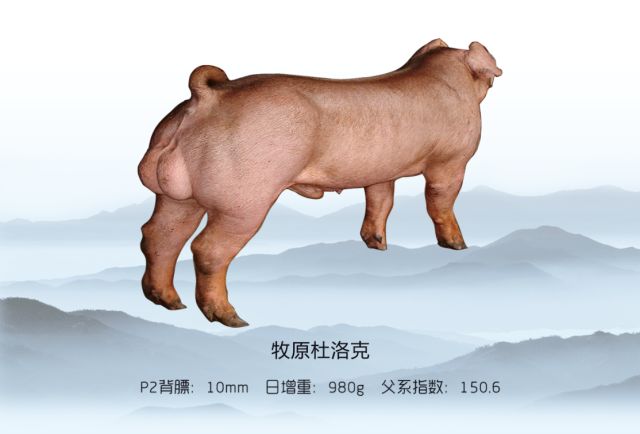 母以子贵怎么回事,母以子贵的后果