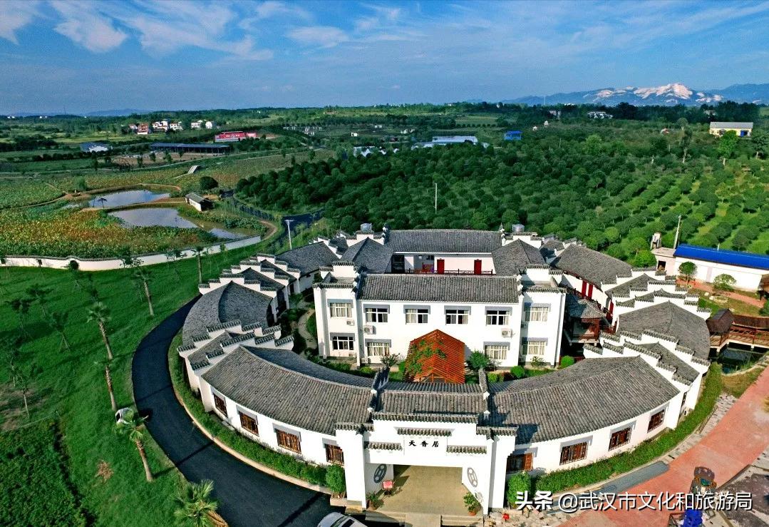 花young官方购票,花young套餐29元103g联通