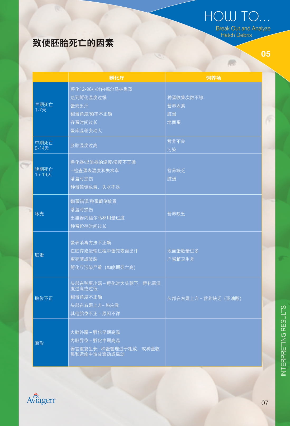 毛蛋做实蛋方法,打蛋怎么做又滑又嫩没气泡