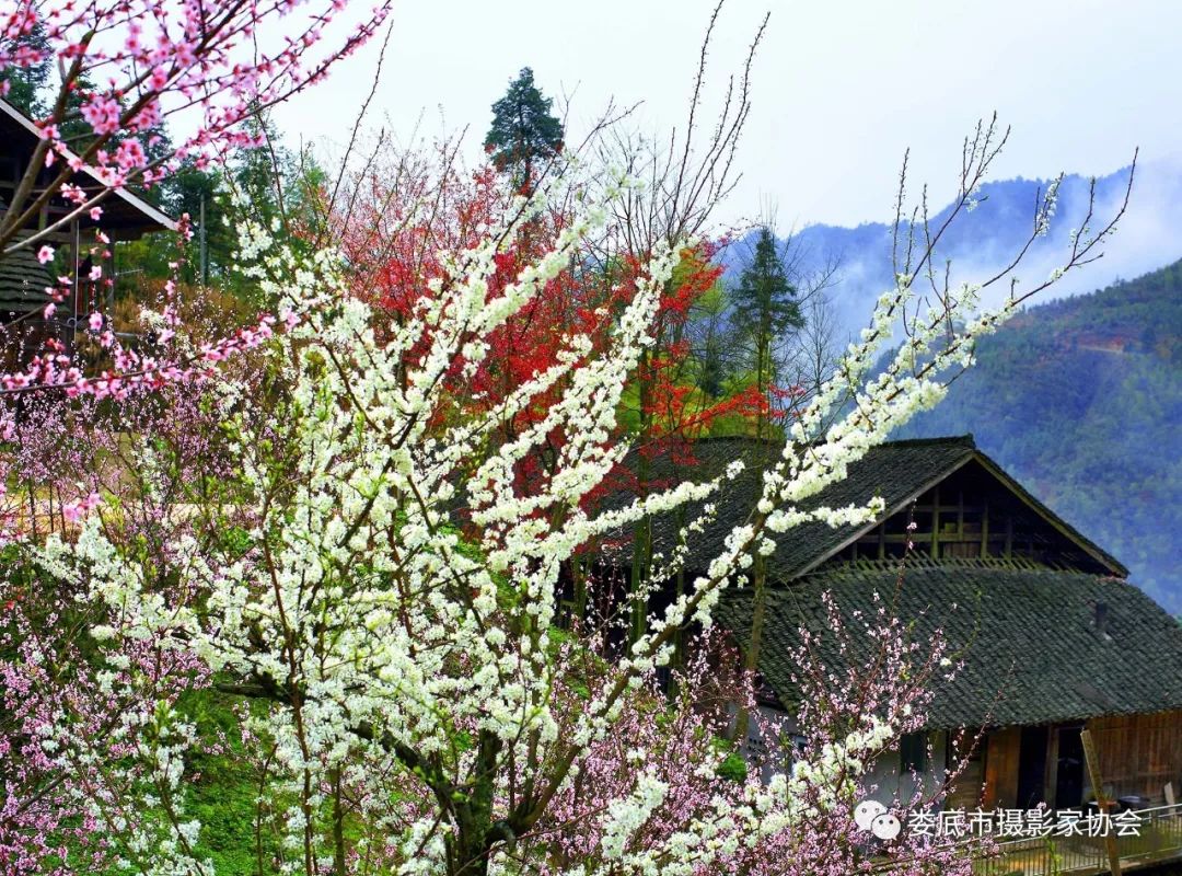 最新风景摄影小品欣赏,娄底景观小品