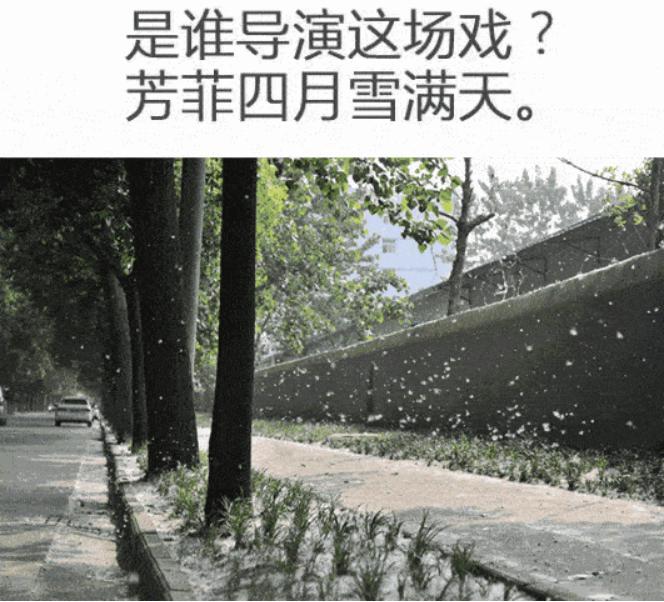 急急如律令，*麻疹荨**怎么破？