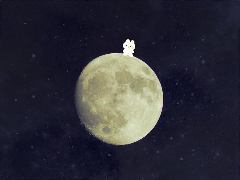 兔兔可爱插画,ayu日语