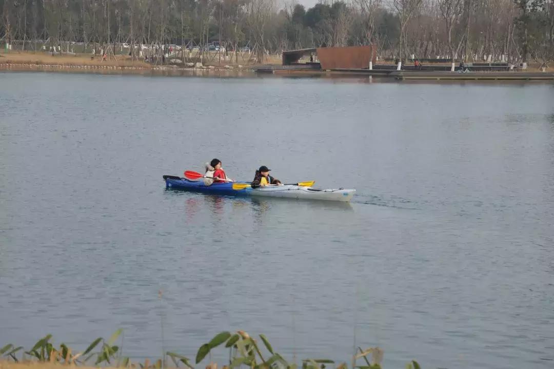宛若美人卧成都，江家艺苑了解一下