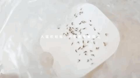 驱蚊必备蚊香防蚊神器,防蚊必备电热蚊香驱蚊神器