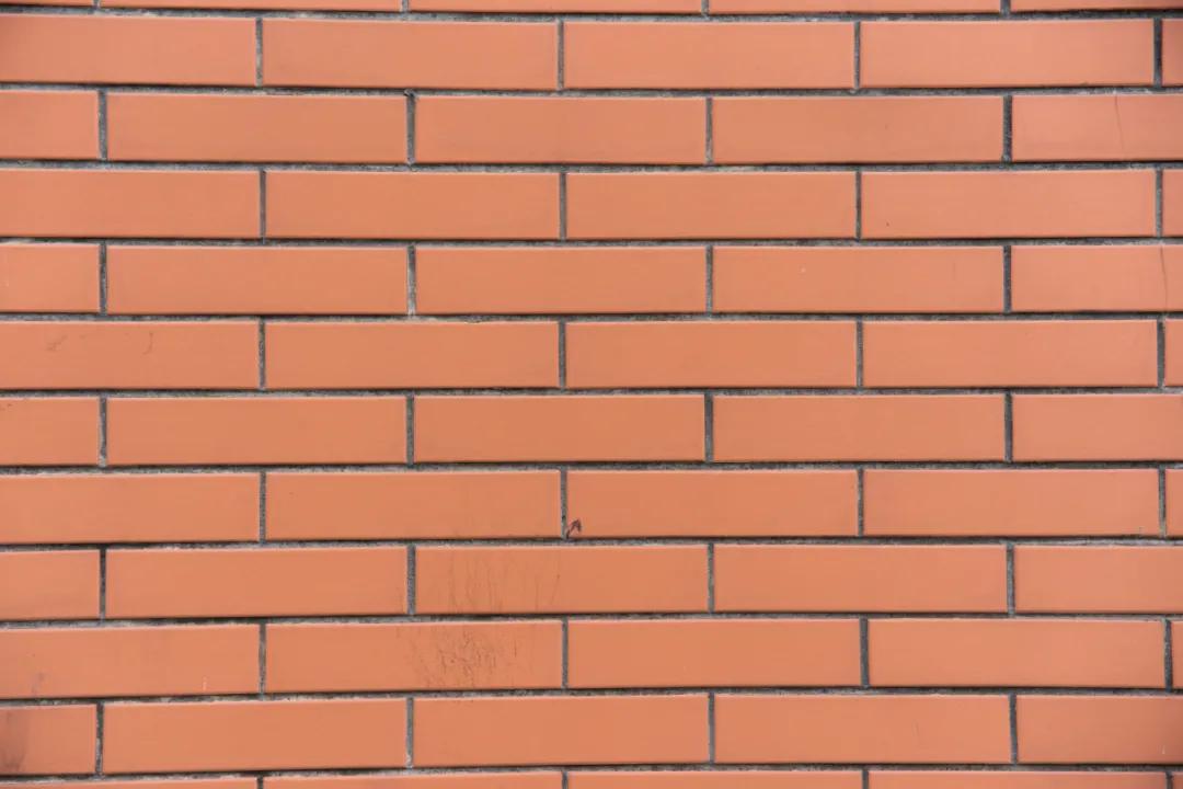 国产自动对焦镜头进击:永诺85、42.5、35mm三镜头测评