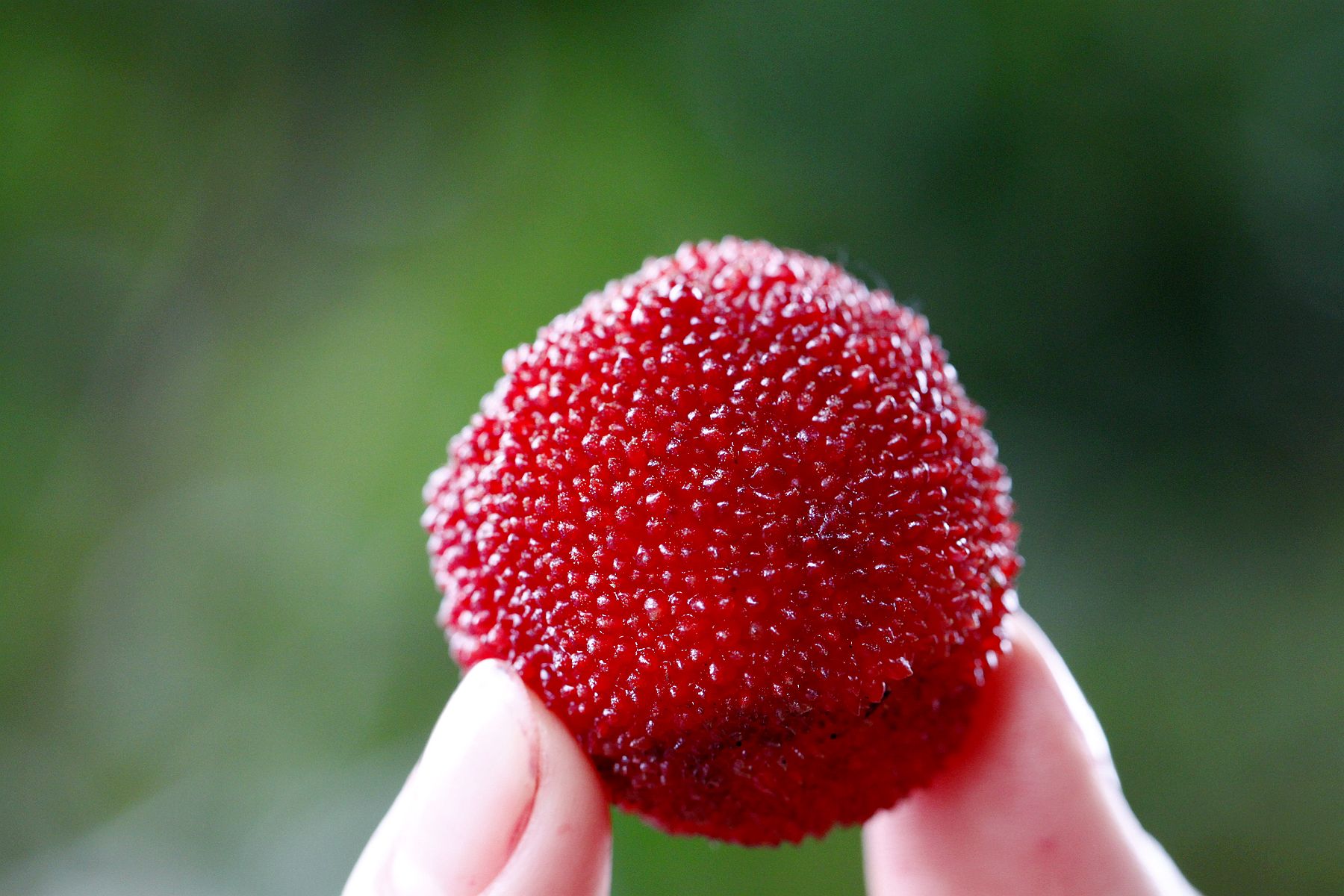 盐水洗水果增加农药残留,用盐水洗杨梅可以减少酸吗