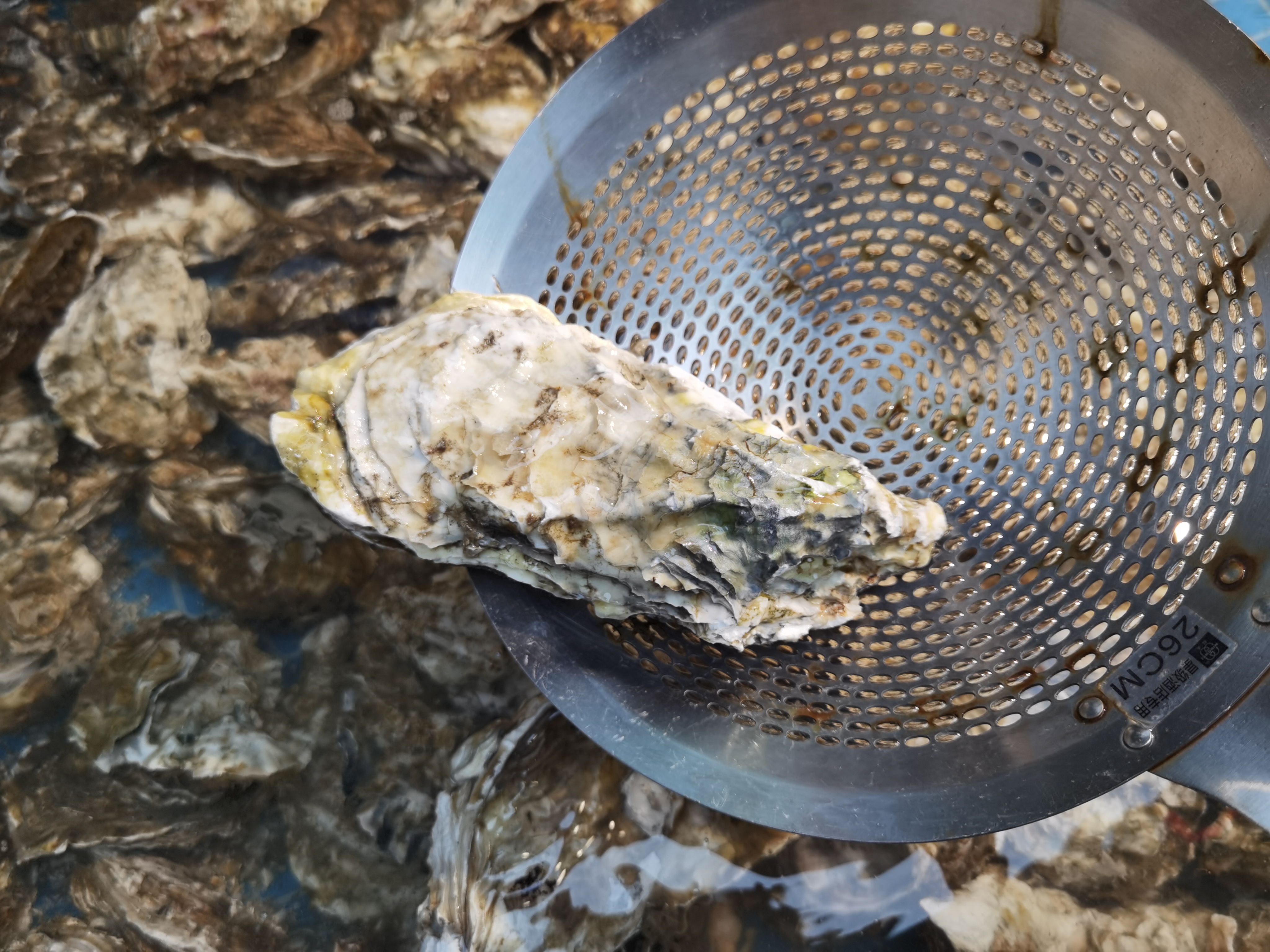 蚝门盛宴99块100个生蚝,蚝门盛宴乳山生蚝套餐