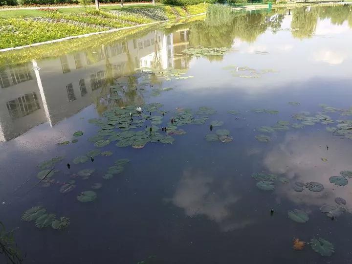 吉林市第一中学吉林市排名,吉林市省重点高中