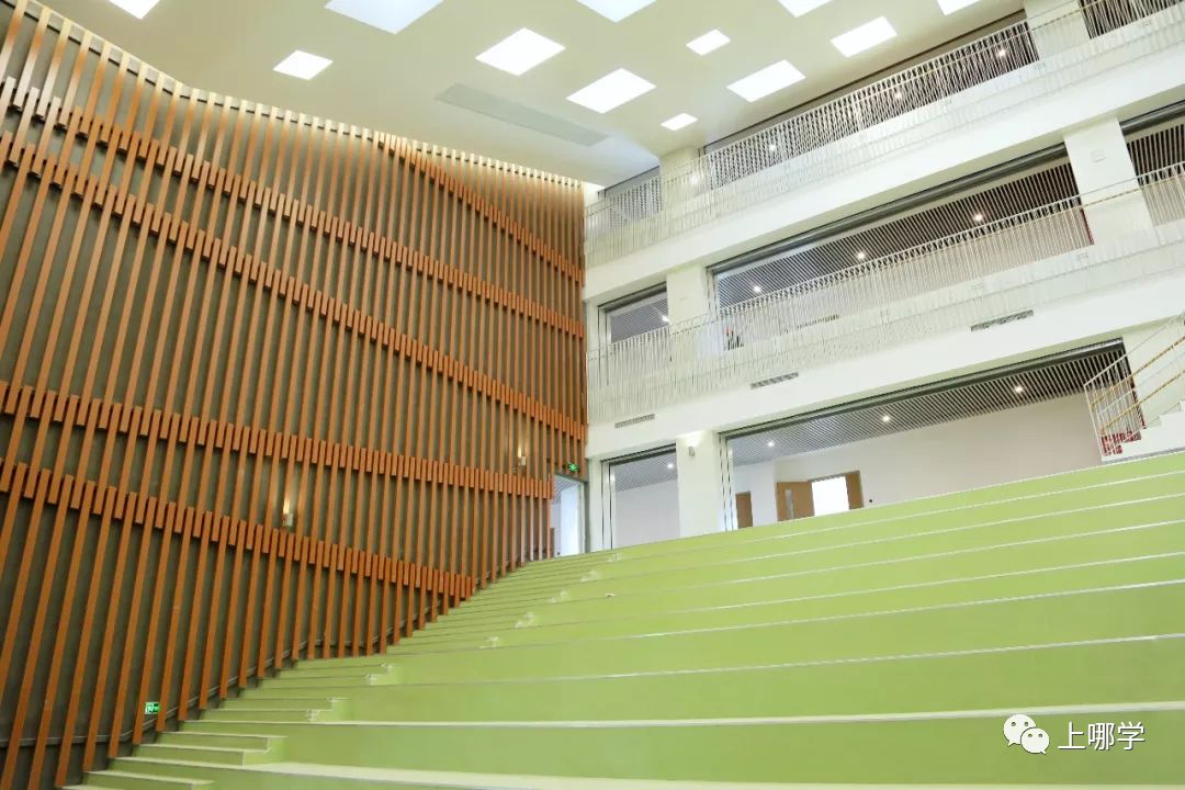 上海2020新增学位,上海各大学2024新增学位点