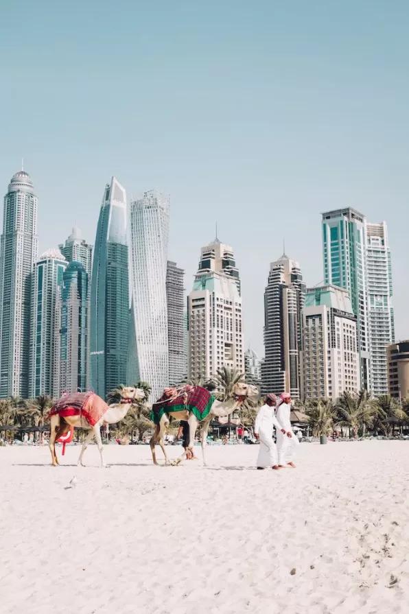 2021年各国入境政策整理,各国入境条件及注意事项