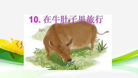 三年级第10课在牛肚子里旅行课文,三上语文在牛肚子里旅行知识点