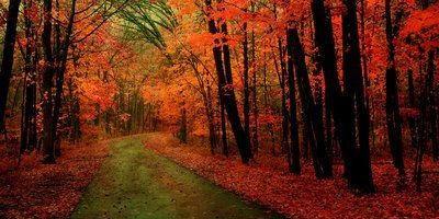 没钱没背景，怎样才能成功？