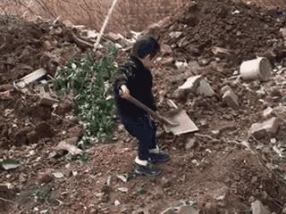 sasa，西西，设计师老王和三圣乡的“亲家DearHome”