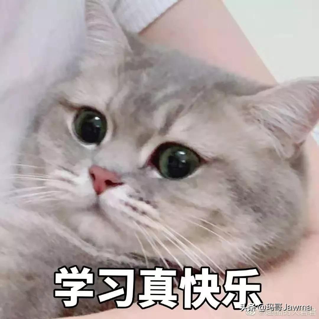 进击的人生！来康康零基础的我如何一口气通过法考