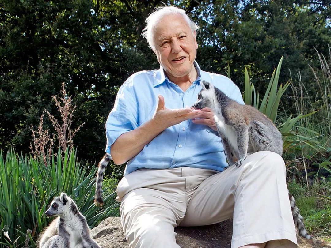 豆瓣评分9.5以上的国产电影有哪些,十部顶级神片推荐