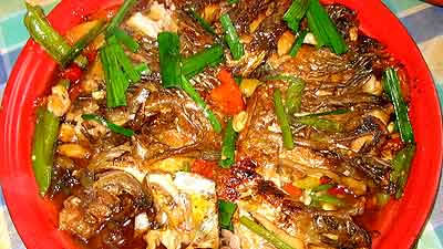 喜欢吃鱼的朋友请收藏,强烈推荐喜欢吃鱼的朋友